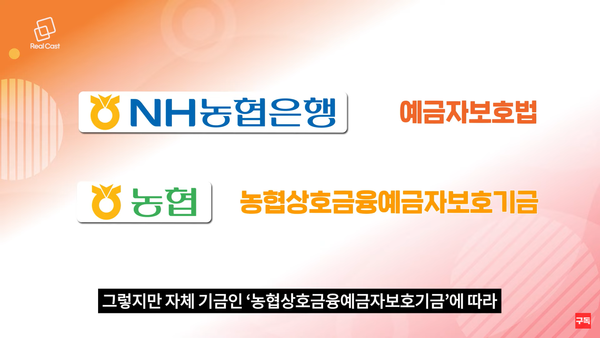 농협은행, 지역농협 뭐가 다르지? 농협은행, 지역농협 뭐가 다르지?