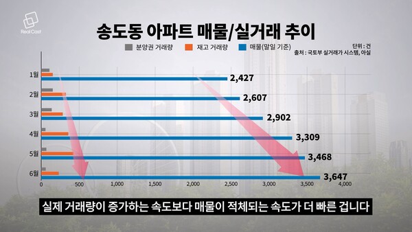 사진 : 리얼캐스트TV