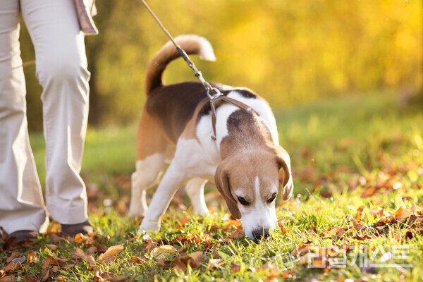 자료화면. 사진출처=클립아트코리아