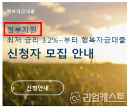 정부지원 문구 무단사용 적발사례.  사진 : 금융감독원