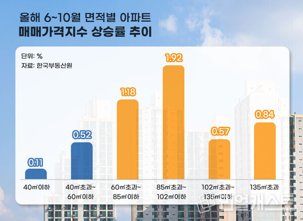 인포그래픽: 리얼캐스트