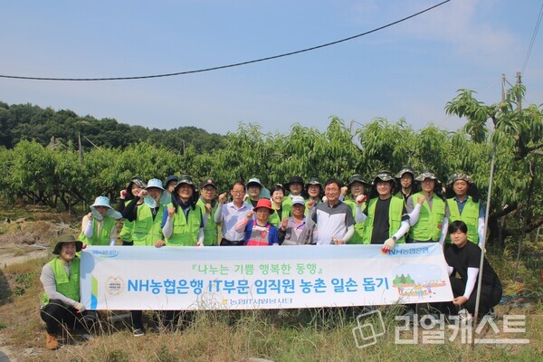 경기도 여주시 복숭아 농가에서 황재현 IT부문 부행장(플랜카드 잡고있는 사람 제외, 앞열 우측 네 번째) 및 직원들이 일손을 도왔다. / NH농협은행