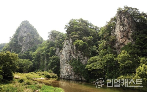 원주 매화마을. 출처 : 농협 팜스테이