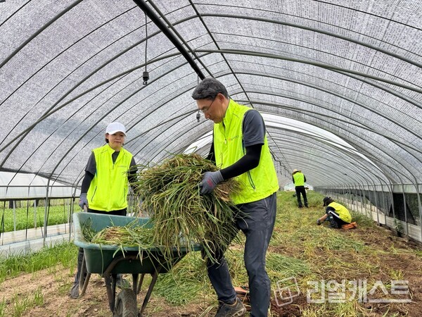 NH농협은행 기업금융부문 임직원들이 파주시 피해 농가를 찾아 수해복구 활동을 실시했다 / NH농협은행
