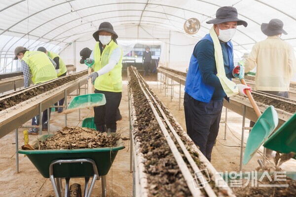 이석용 농협은행장(가운데 좌측), 어기구 농해수위 위원장(가운데 우측) 및 임직원들이 31일 충남 당진 호우피해 농가를 찾아 수해복구에 힘을 보탰다 / NH농협은행