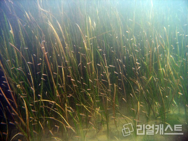 출처 : KB국민은행