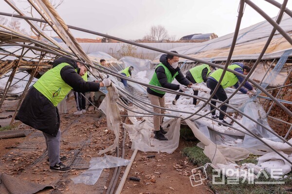 NH농협은행 이석용 은행장 및 임직원들이 지난 13일 경기 광명시 폭설피해농가를 찾아 하우스 보수작업을 진행 중이다. 출처 : NH농협은행