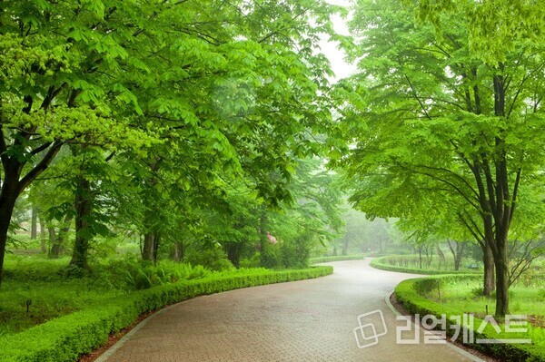 자료 화면 / 클립아트 코리아