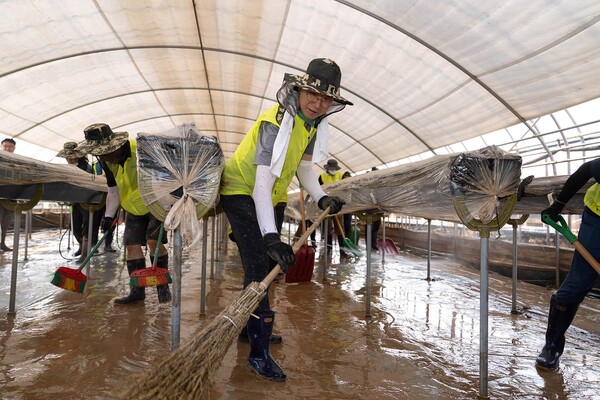강태영 은행장(가운데)을 비롯한 농협은행 임직원들이 29일 충남 당진을 찾아 관내 농축협 임직원들과 함께 피해복구에 구슬땀을 흘렸다. (출처: NH농협은행)