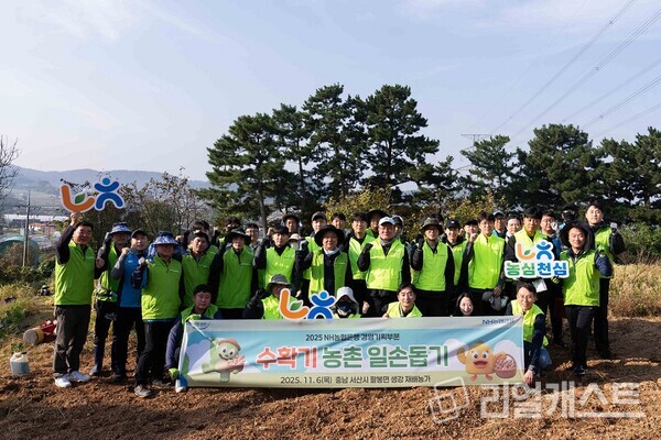 NH농협은행 경영기획부문 임직원들이 충남 서산 지역 농가를 방문해 생강 수확을 지원하고 있다(제공: NH농협은행)